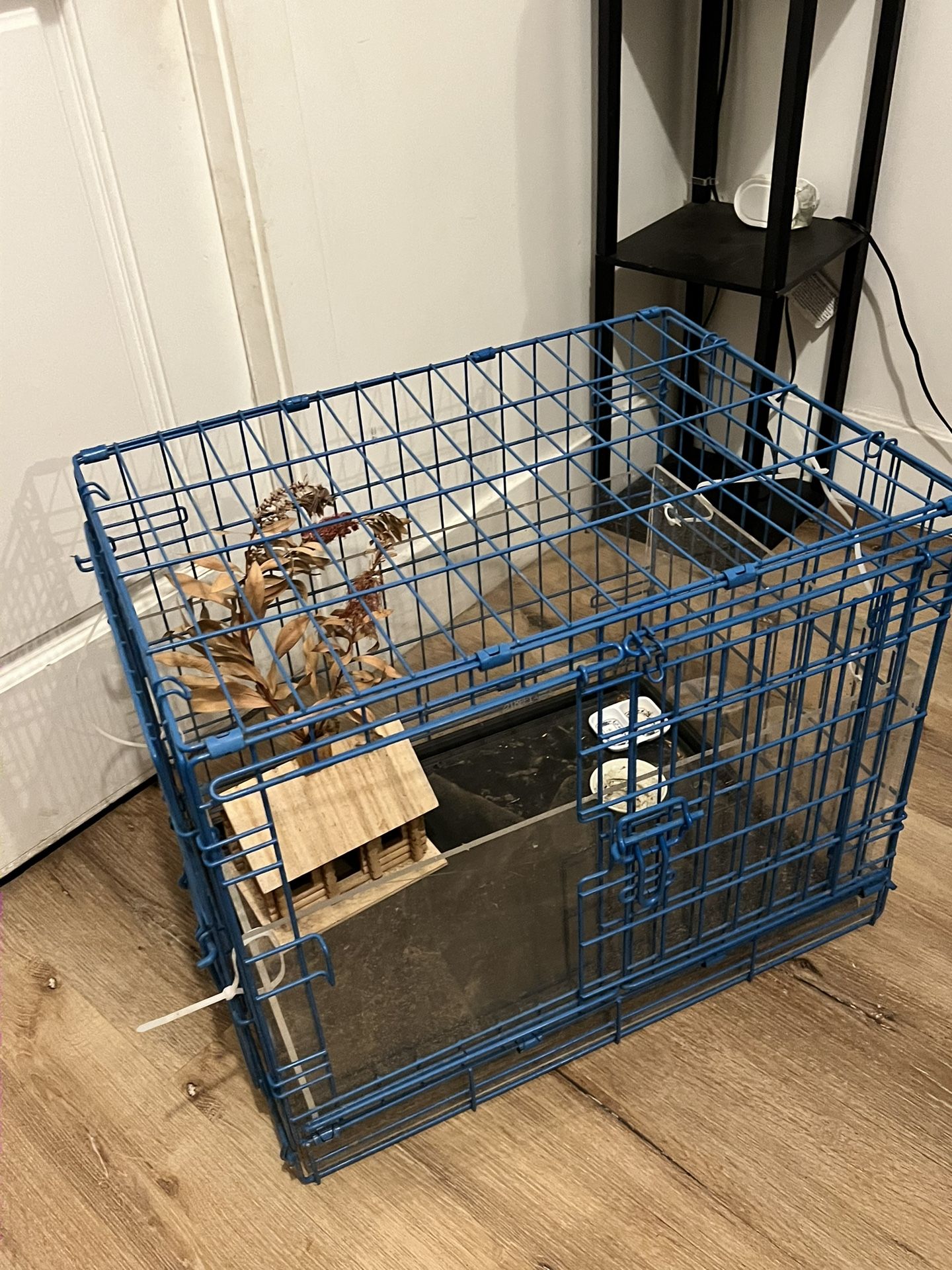 Blue Bird Cage