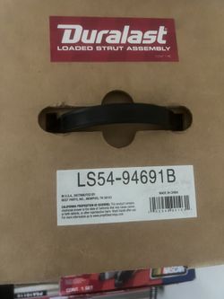 Loaded Strut Assembly