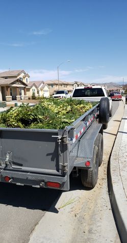 Trash Junk Dump Haul Clean Trailer 