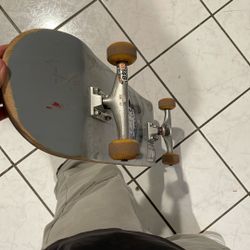 Skate Board 
