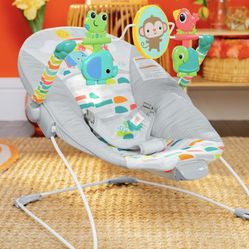 Baby Bouncer