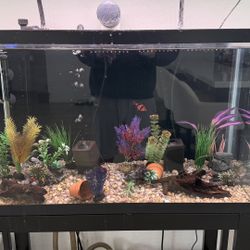 Aquarium Fish Tank With Filter, Stand And 3 Fish 