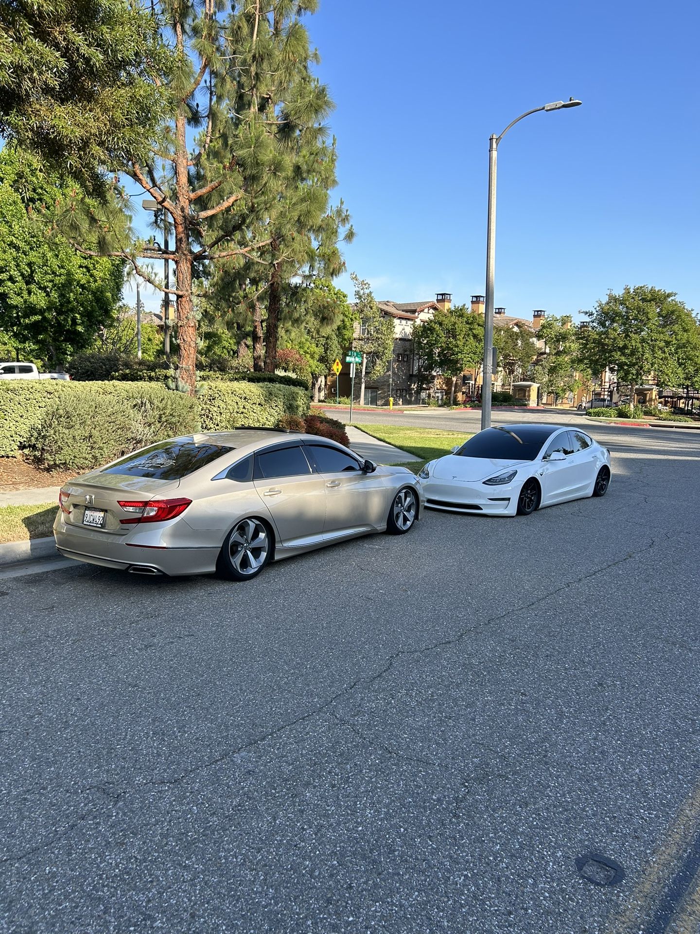 Automotive Windows Tints