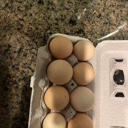 Fresh eggs