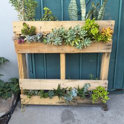 Custom pallet succulent garden planter