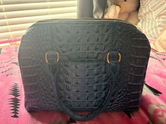 Blue crocodile print purse