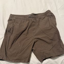 H&M Brown Shorts (L)