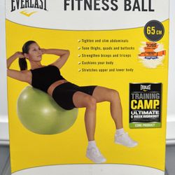 Fitness Ball