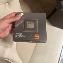 AMD Ryzent™ 5 9600X 6-Core, 12-Thread Unlocked Desktop Processor Am