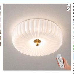 LED Light