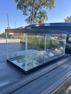 10 gallon fish aquarium