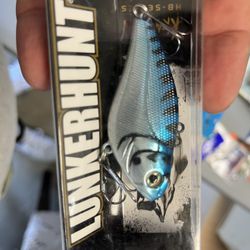 Fishing Lure 