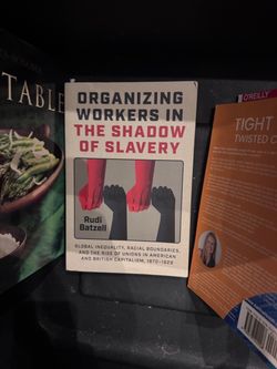 Organizing Workers in the Shadow of Slavery by Rudi Batzell