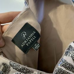 Adrianna Papell Cocktail Dress Size 2P