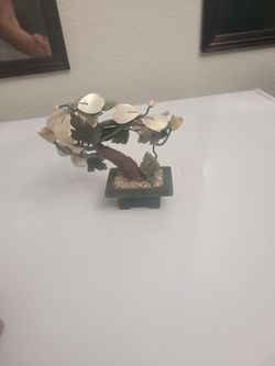 Jade Bonsi Tree