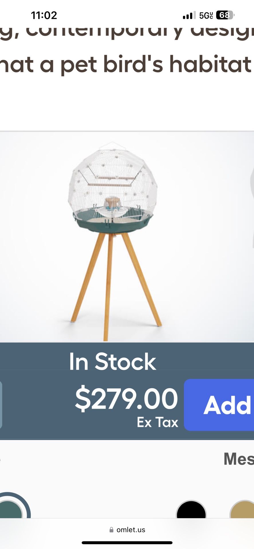 Bird Cage
