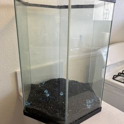 20 Gallon Aquarium Kit