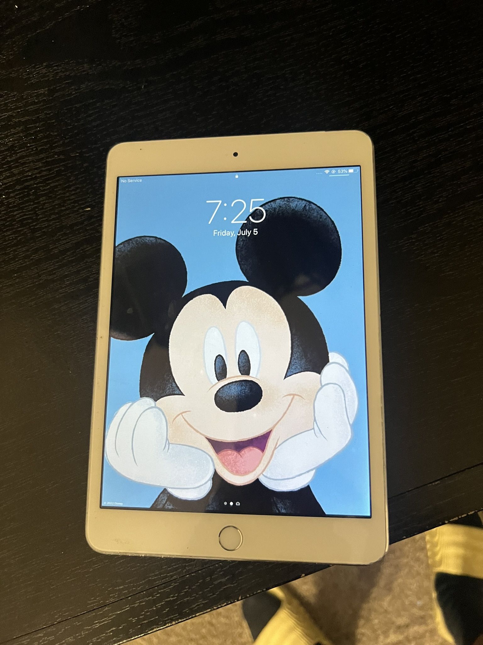 iPad