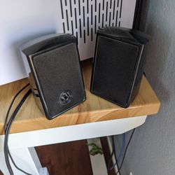 Computer Speakers