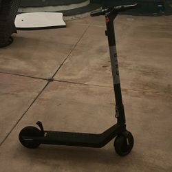 Bird Electric Scooter