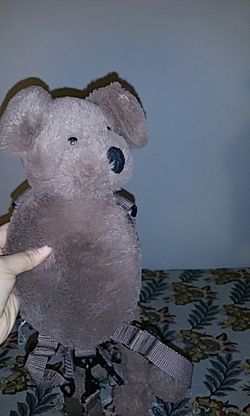 Kids harness with strap