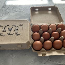 Organic Eggs