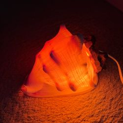 Seashell Accent Lamp MCM Nautical Beach Boho Cottage Core