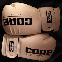 Core Boxing Gloves 8oz