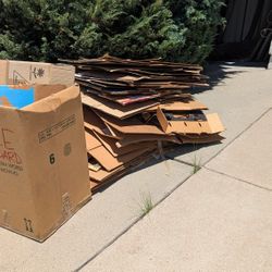 FREE CARDBOARD - FOR MOVING OR RECYCLING 