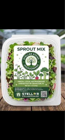 Stellar Stems Sprout Mix Microgreens 2 oz