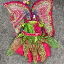 Teetot & Co Butterfly Princess Costume