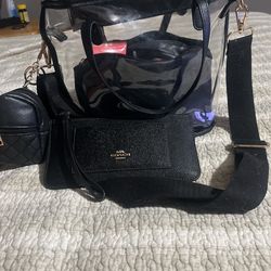 Clear Stadium Bag With Real Coach Wallet