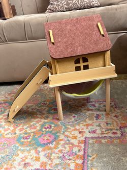 Guinea pig, Hámster