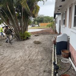 St.Augustine Grass SOD