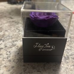 purple rose 