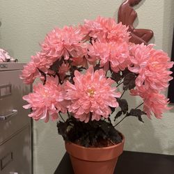 24” Tall Beautiful Artificial Flower With Italy Ceramic Pot