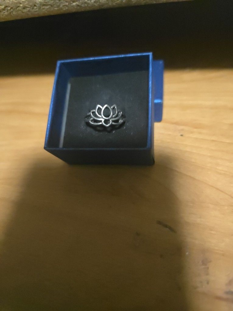 Size 8 Stainlrss Steel Ring
