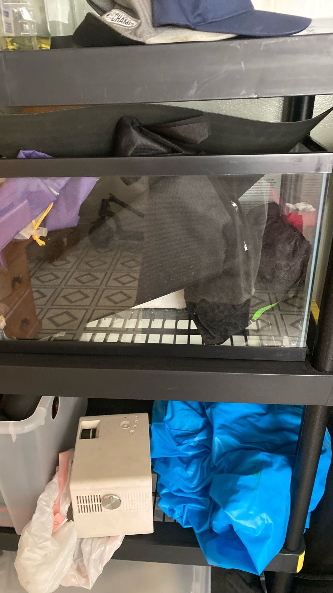 Fish pet tanks