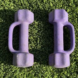 5 lb Purple Dumbbells (pair)