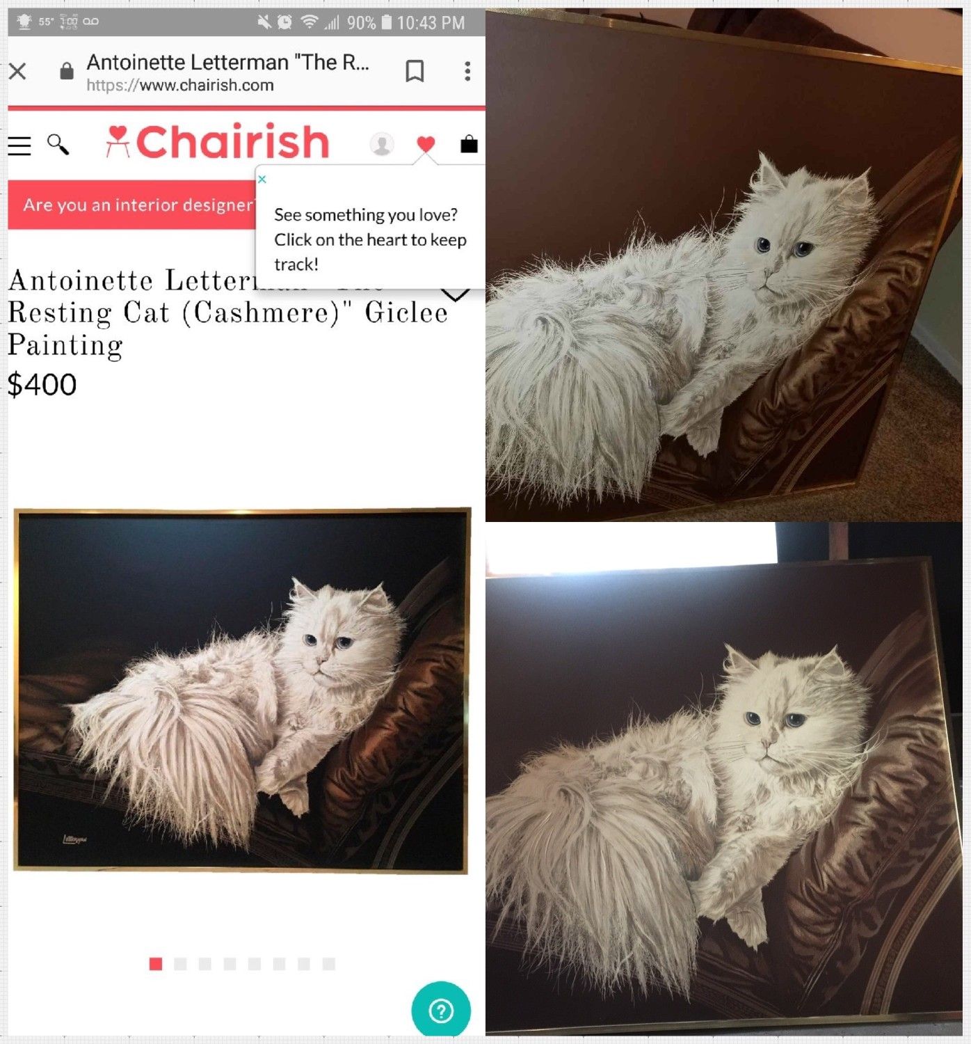 Painting of Cashmere..By Antoinette letterman
