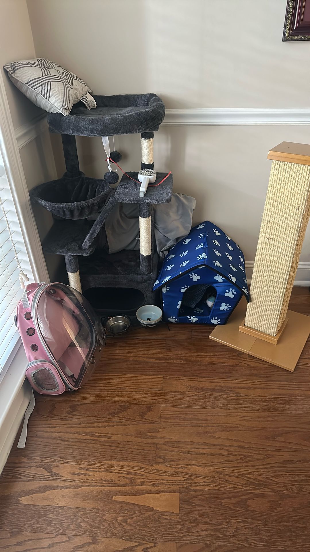 Cat Accessories