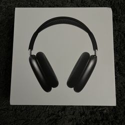 Apple Air Max Headphones