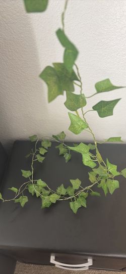 Plant vine light