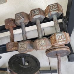 dumbells (3) 20lb