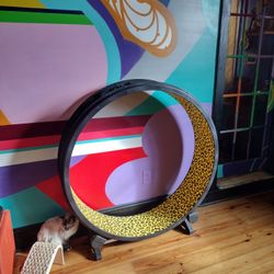 One Fast Cat Cat Wheel