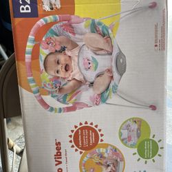 Baby Bouncer