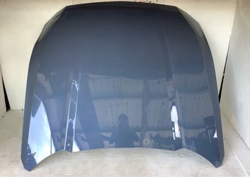 2024 2025 Ford Mustang hood (10V)