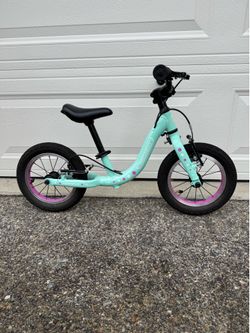 Guardian balance bike Teal
