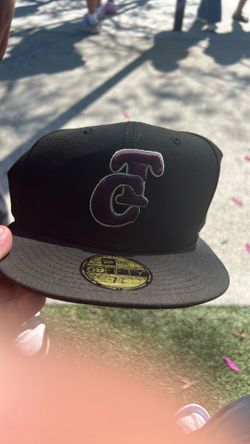 Minnesota Twins Hat