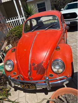 1966 Vw Bug